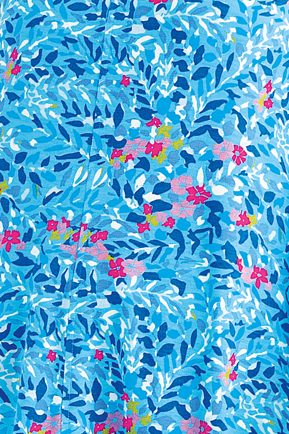Ocean
