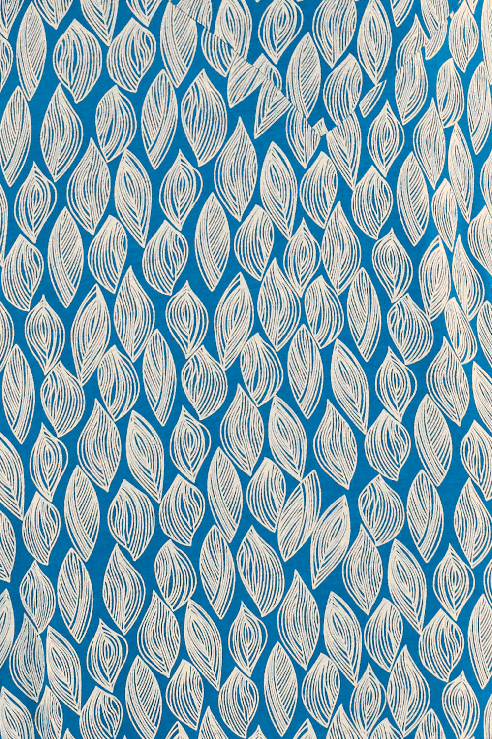 Cornflower