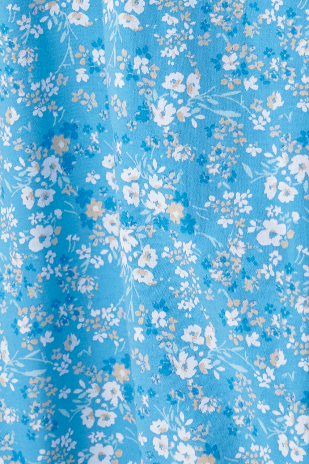 Cornflower