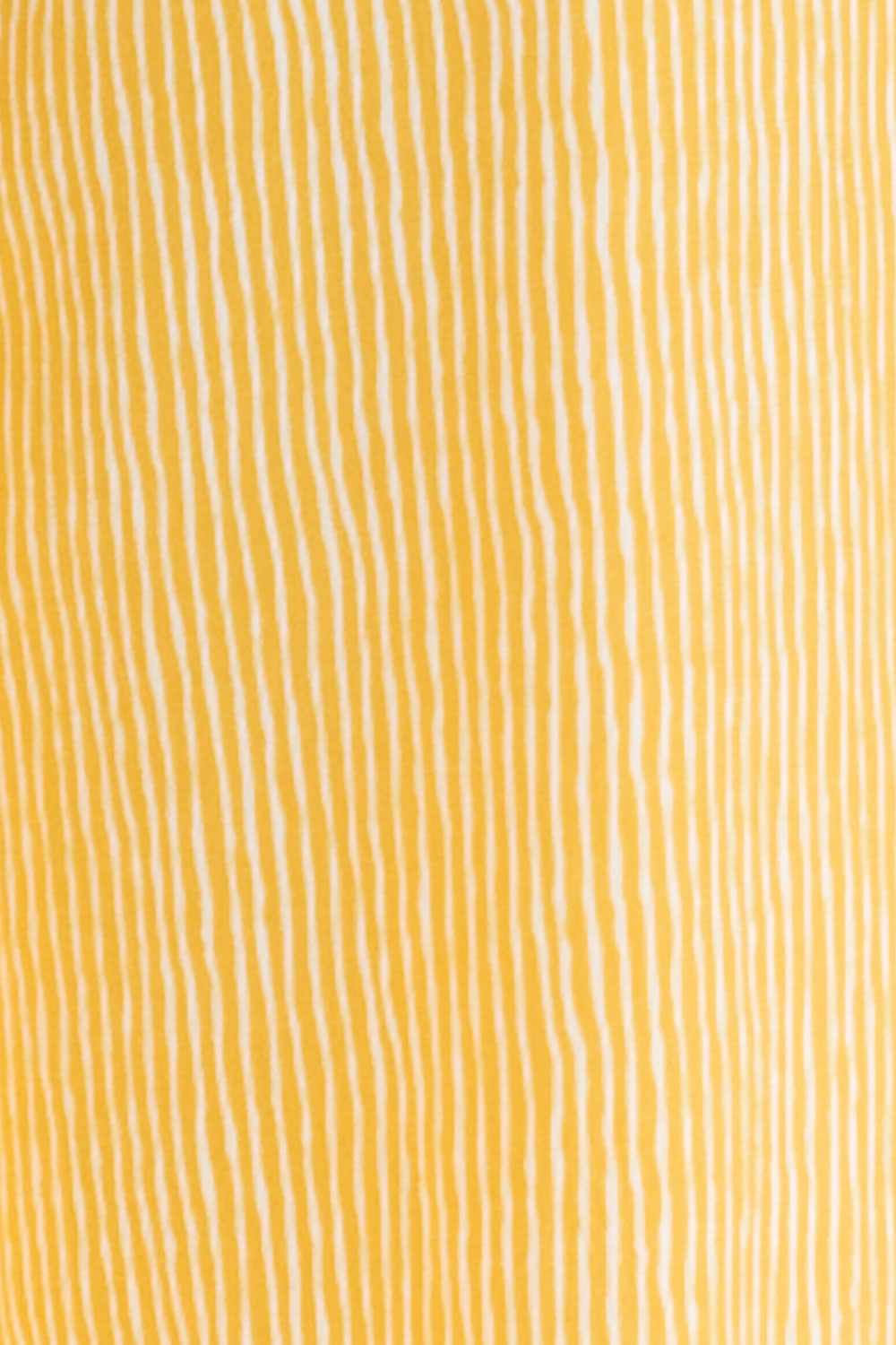 Daffodil