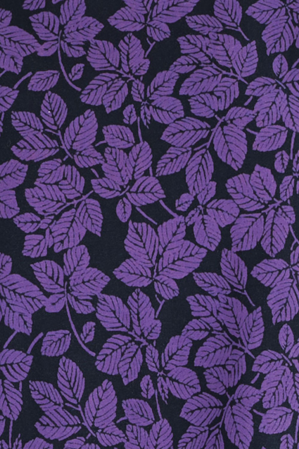Loganberry